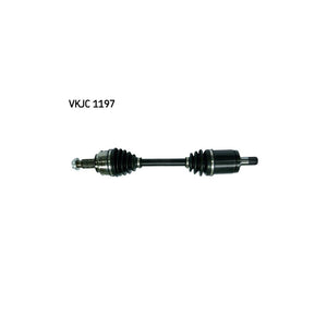 VKJC_201197_jpg
