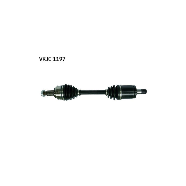 VKJC_201197_jpg
