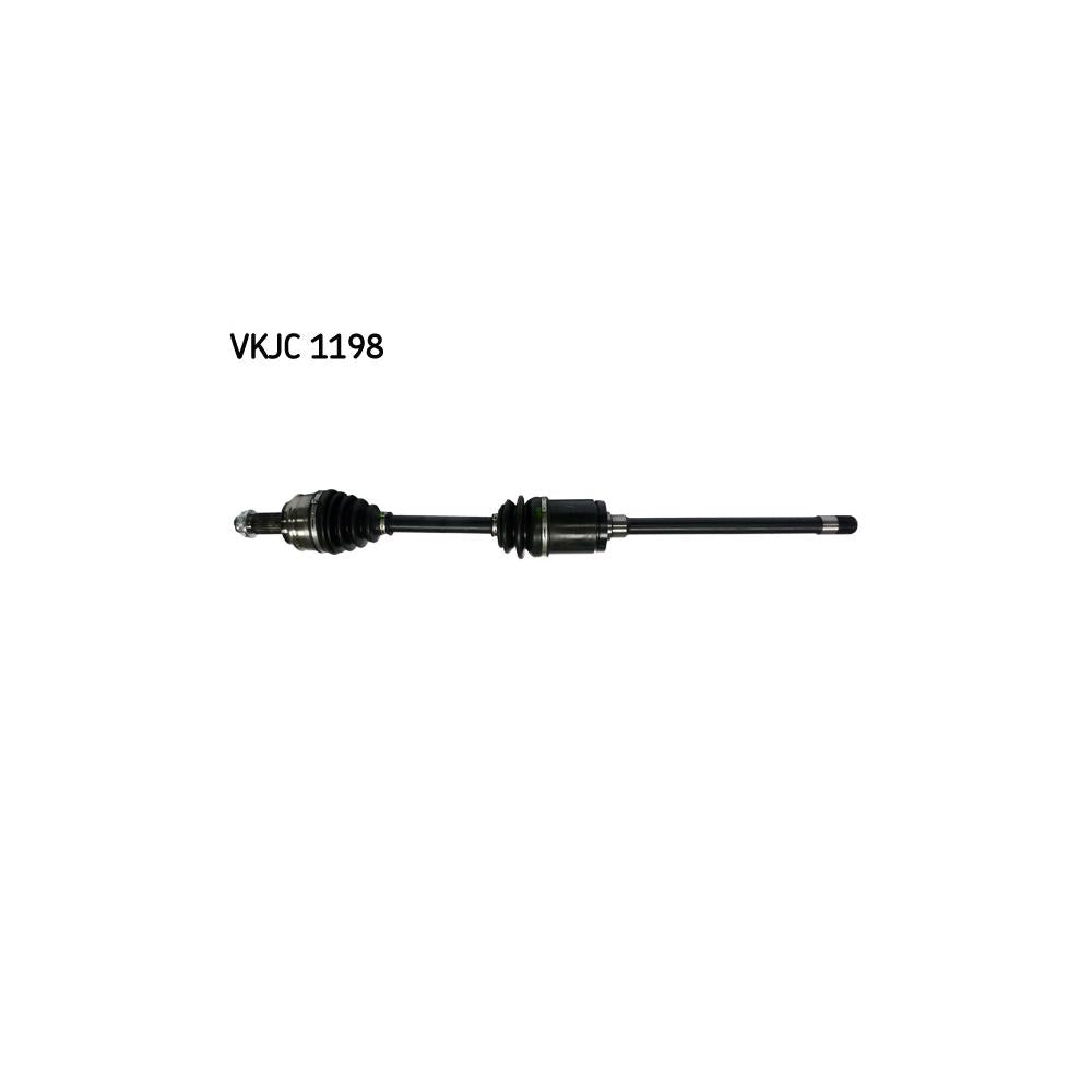 VKJC_201198_jpg