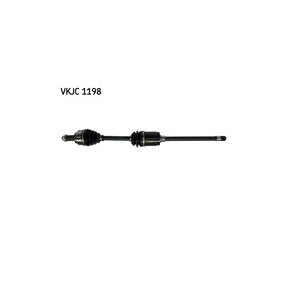 VKJC_201198_jpg