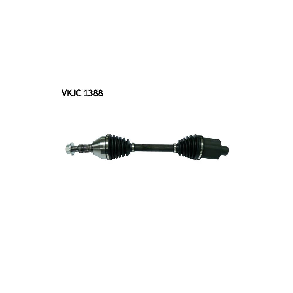 VKJC_201388_jpg