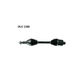 VKJC_201388_jpg