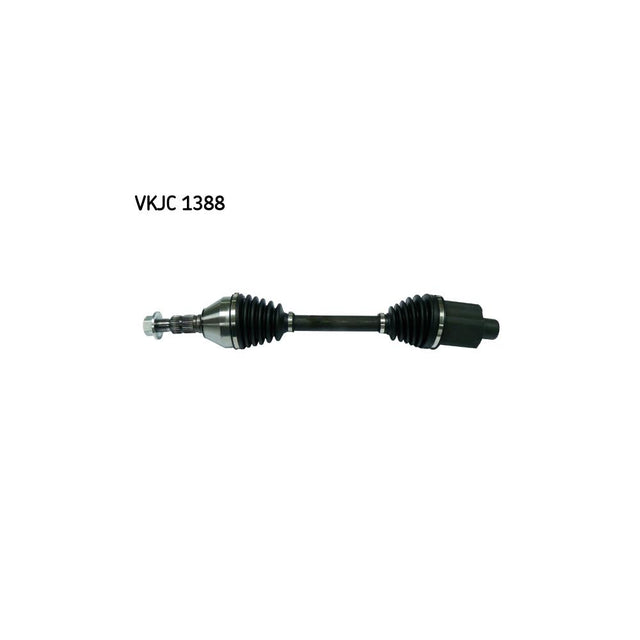 VKJC_201388_jpg