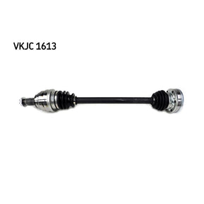 VKJC_201613_jpg