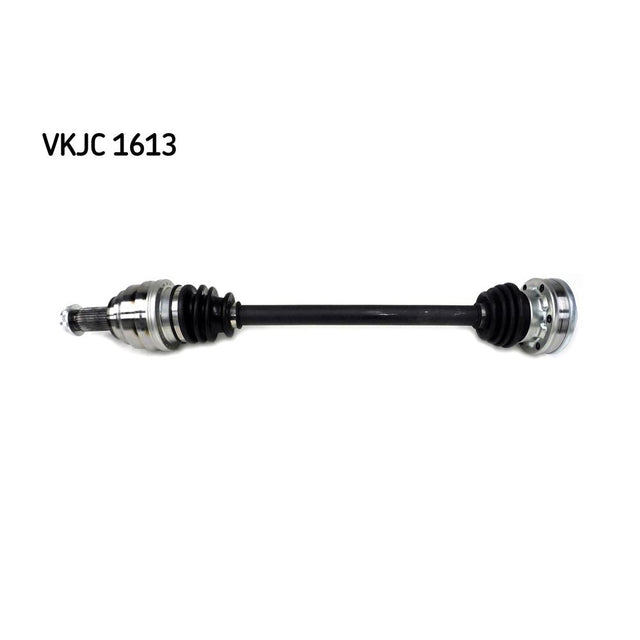 VKJC_201613_jpg