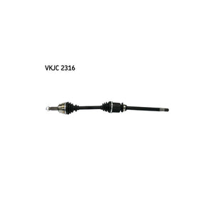 VKJC_202316_jpg