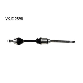 VKJC_202598_jpg