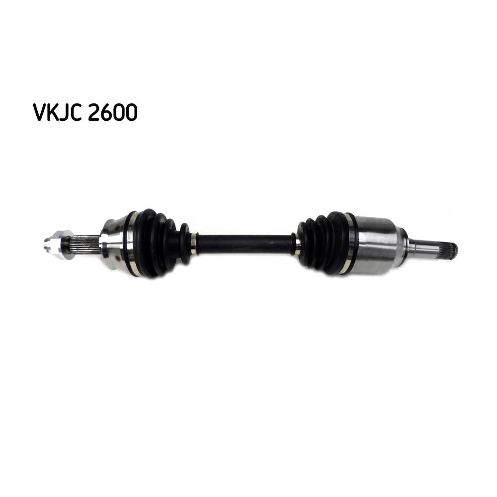 VKJC_202600_jpg