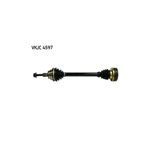VKJC_204597_jpg