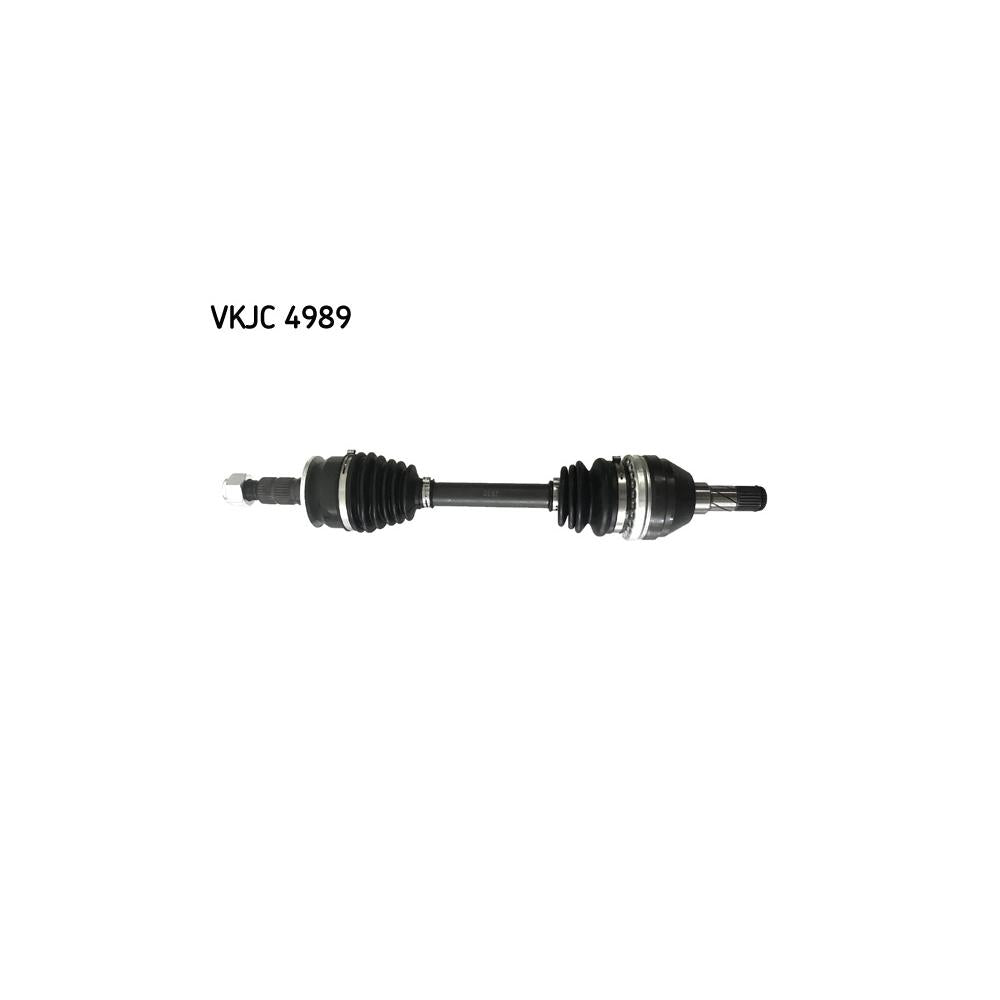 VKJC_204989_jpg