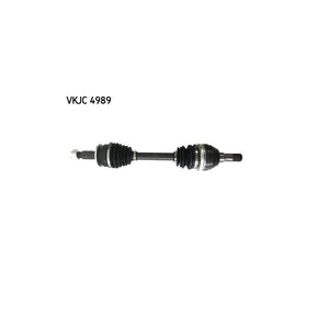 VKJC_204989_jpg
