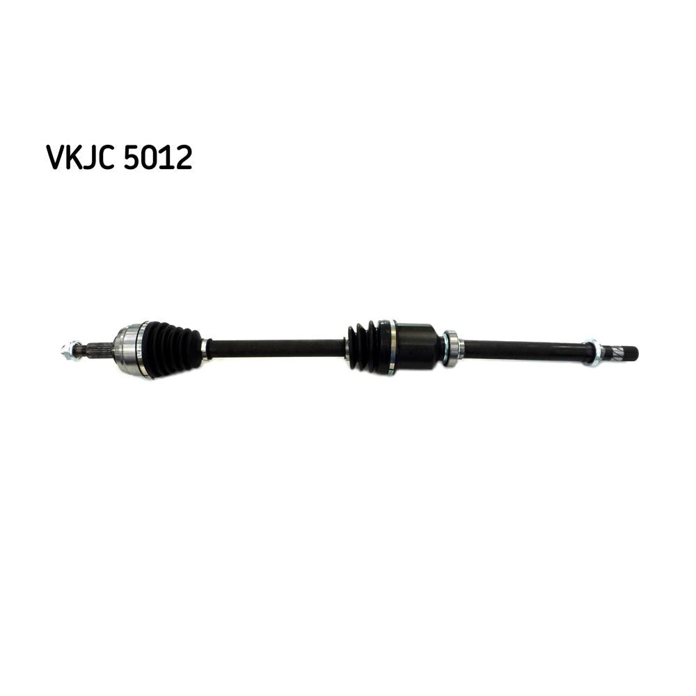 VKJC_205012_jpg
