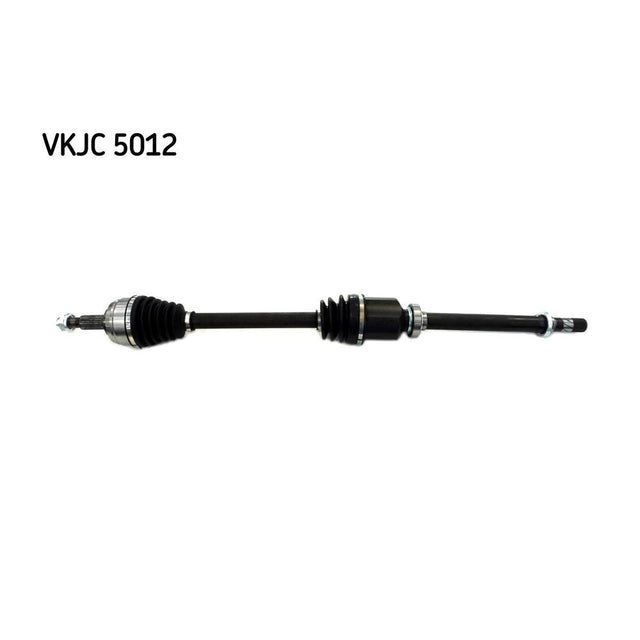 VKJC_205012_jpg