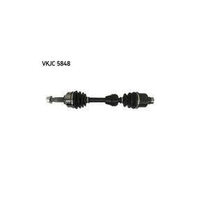 VKJC_205848_jpg