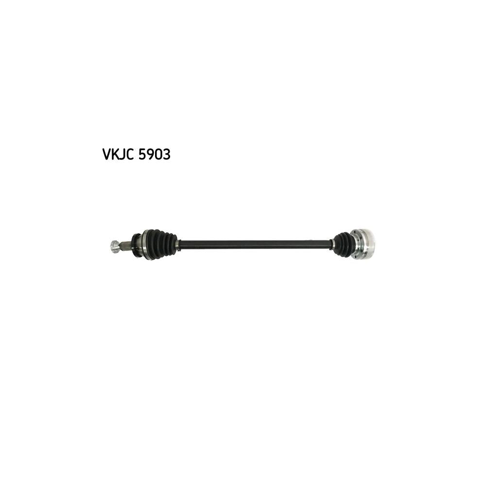 VKJC_205903_jpg