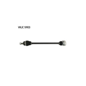 VKJC_205903_jpg