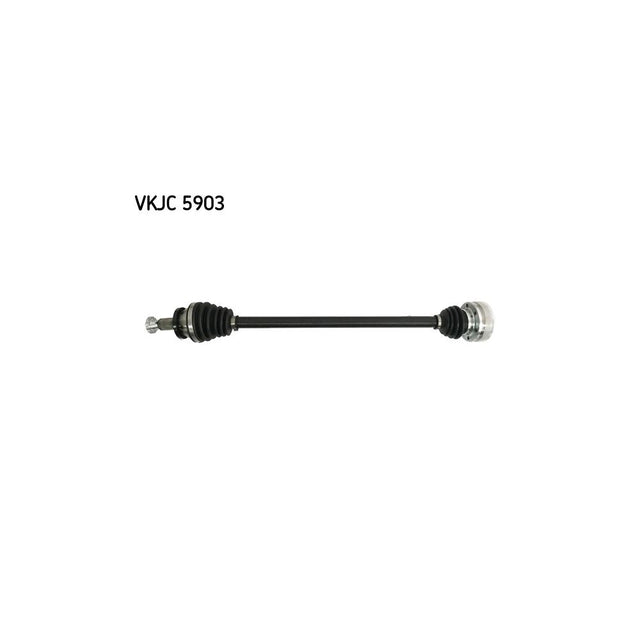 VKJC_205903_jpg