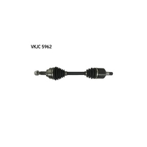 VKJC_205962_jpg