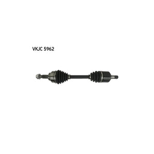 VKJC_205962_jpg