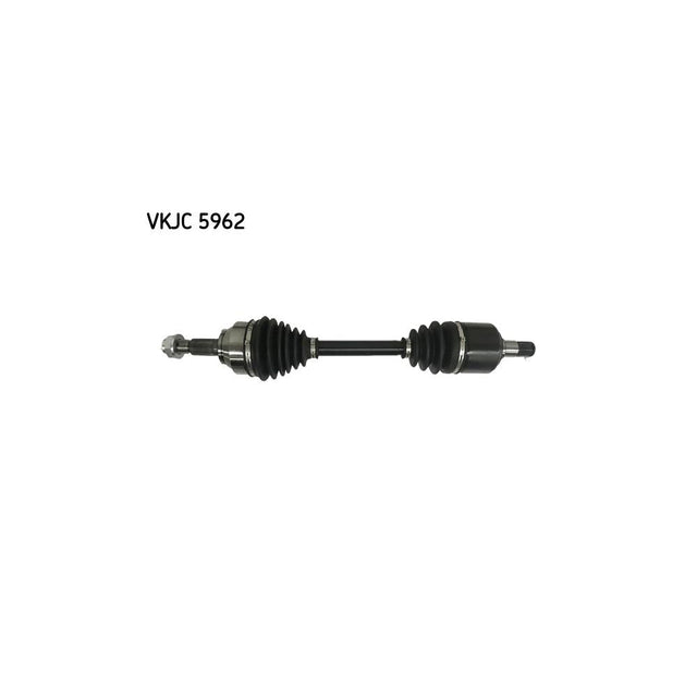 VKJC_205962_jpg