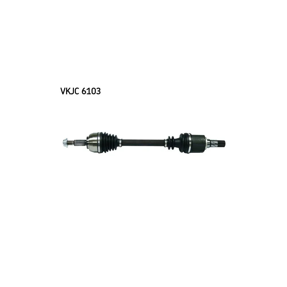 Planetara SKF VKJC 6103