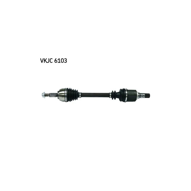 Planetara SKF VKJC 6103