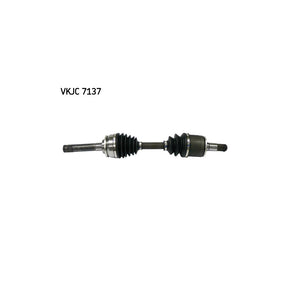 VKJC_207137_jpg