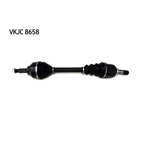VKJC_208658_jpg