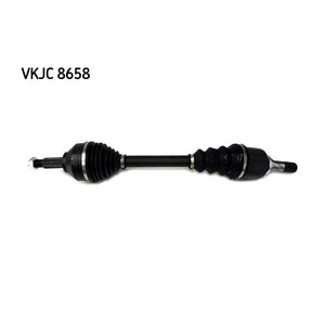 VKJC_208658_jpg