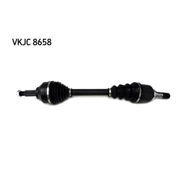 VKJC_208658_jpg