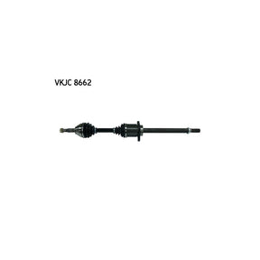 VKJC_208662_jpg