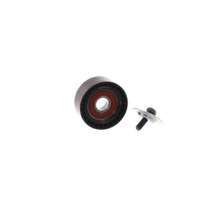 VKM_34714_01_jpg