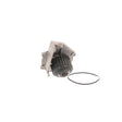 Pompa apa SKF VKPC 87401