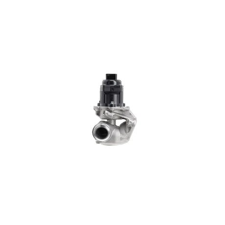 VS-IGN_EGR_20VALVE_700474_001_jpg