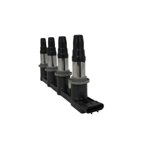 Bobina inductie Asam Automotive 117926