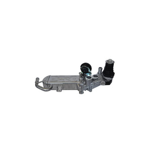 Modul EGR cu racitor gaze Denkai DK33695