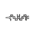 Arbore cotit, 4 cilindri Standard, fara rulmenti pentru Belarus Ost Technik 7002401005015B