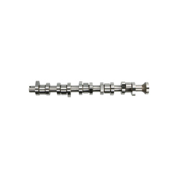 Ax came Freccia CM05-2161