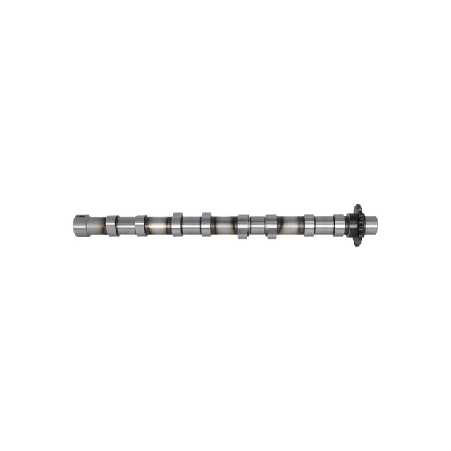 Ax came Freccia CM05-2373
