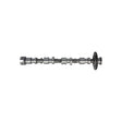 Ax came Freccia CM05-2410