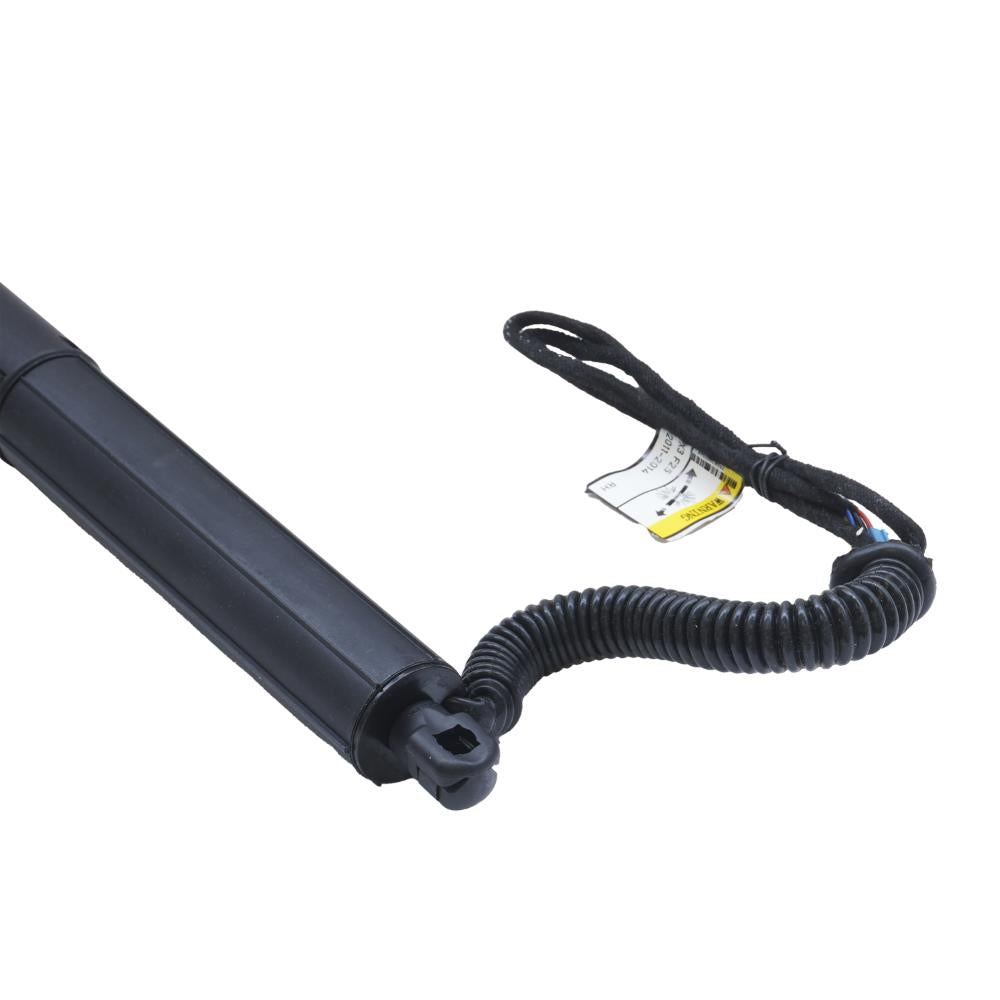 Amortizor portbagaj electric dr. Asam Automotive 100166
