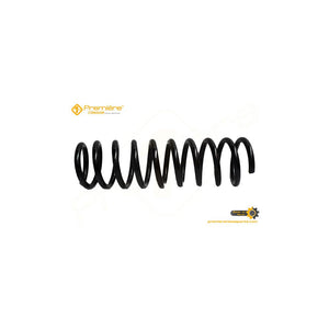 Arc suspensie spate Premiere SR.144