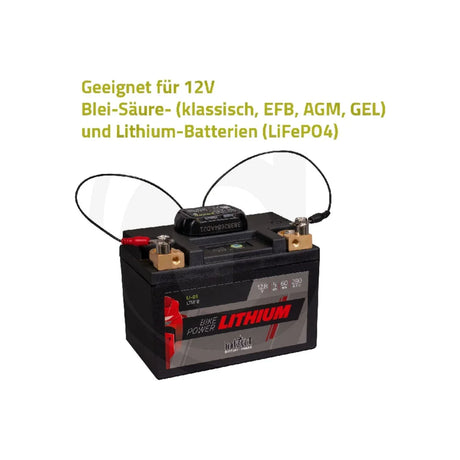 Battery Guard - dispozitiv monitorizare pentru baterii de 12 V GRANIT 507990016 – imagine 6