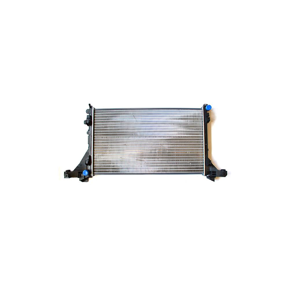 Radiator motor Asam Automotive 76501