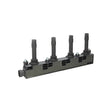 Bobina inductie Borgwarner (beru) ZS259