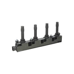 Bobina inductie Borgwarner (beru) ZS259