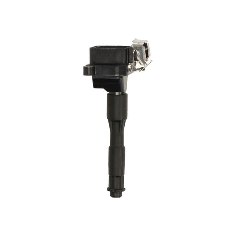 Bobina inductie Borgwarner (beru) ZS302