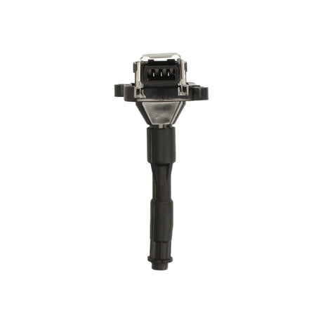 Bobina inductie Borgwarner (beru) ZS302 – imagine 2
