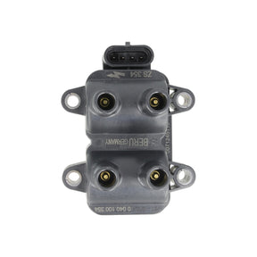 Bobina inductie Borgwarner (beru) ZS354
