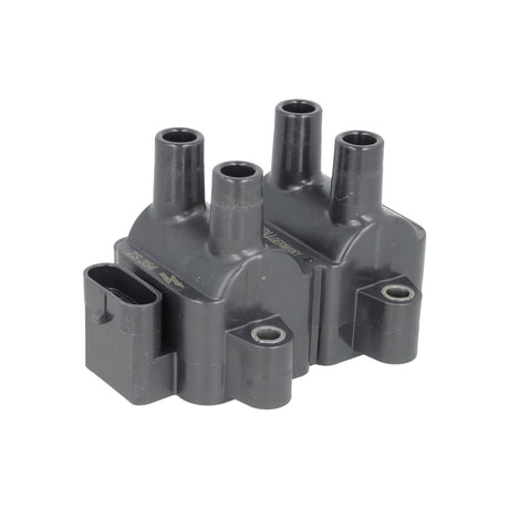 Bobina inductie Borgwarner (beru) ZS354 – imagine 2